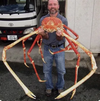  Japanischer Riesenkrabbe: Erfahren Sie mehr über den Giganten der Tiefen und seine erstaunlichen Anpassungsfähigkeiten!