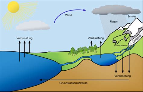  Quandamonoeca: Kann dieser winzige Wirbler den Wasserkreislauf beeinflussen?